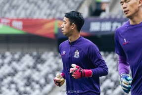 九游官网首页 -关于上海申花内部会议纪要流出：冲刺阶段回应争议，NBA常规赛使命明确，控场能力受关注的信息